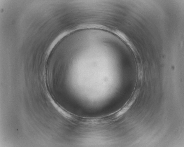 X0000073751438200608311924