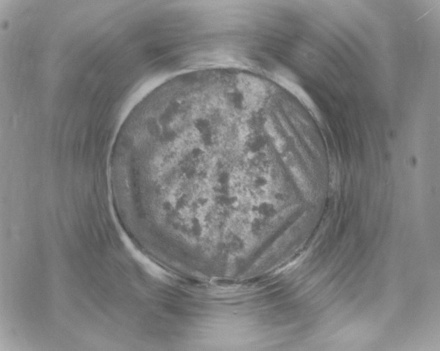 X0000073751439200608311924