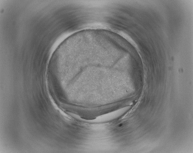 X0000073751440200608311924