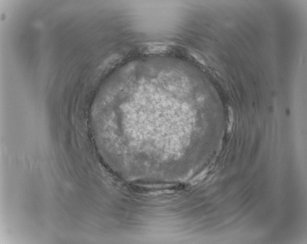 X0000073751441200608311923