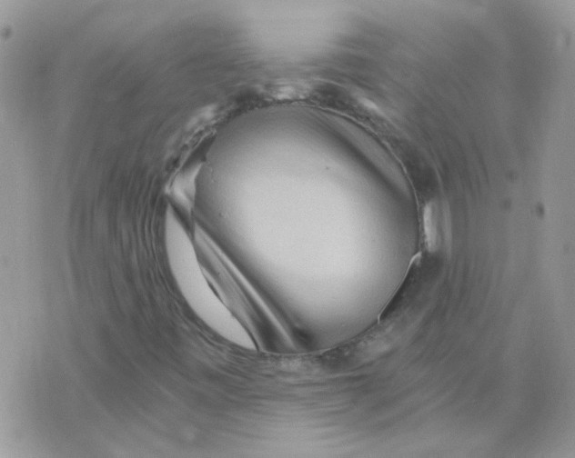 X0000073751443200608311923