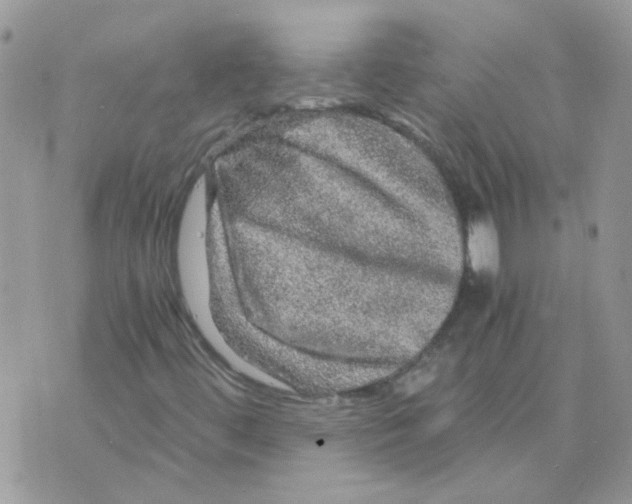 X0000073751444200608311923