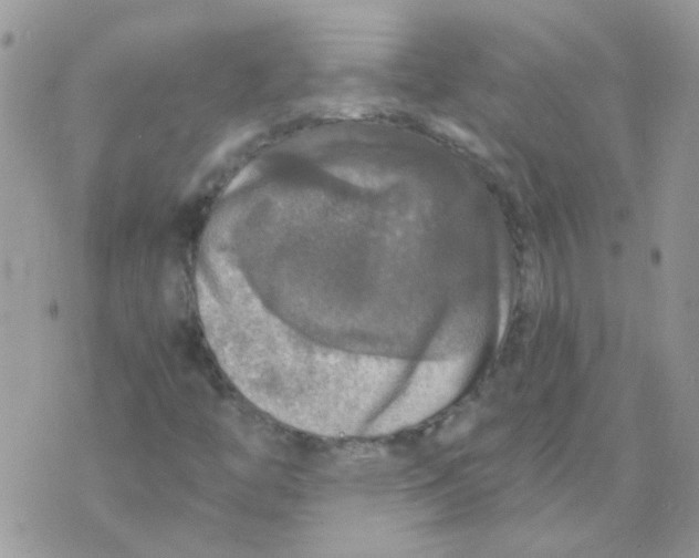 X0000073751446200608311923