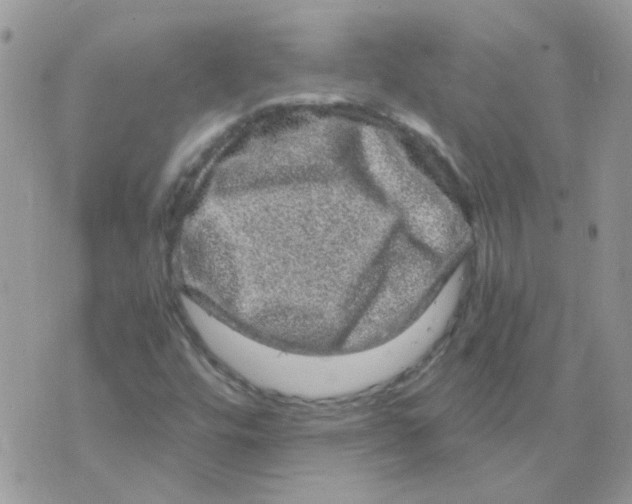 X0000073751448200608311923