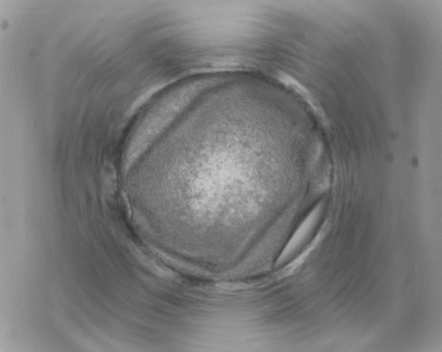 X0000073751449200608311923