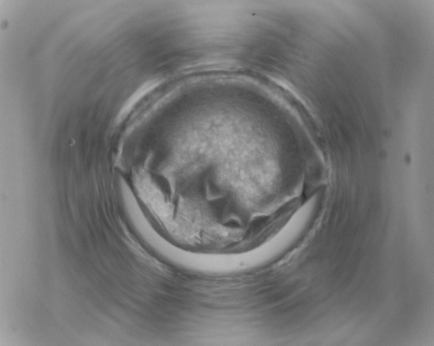 X0000073751450200608311923