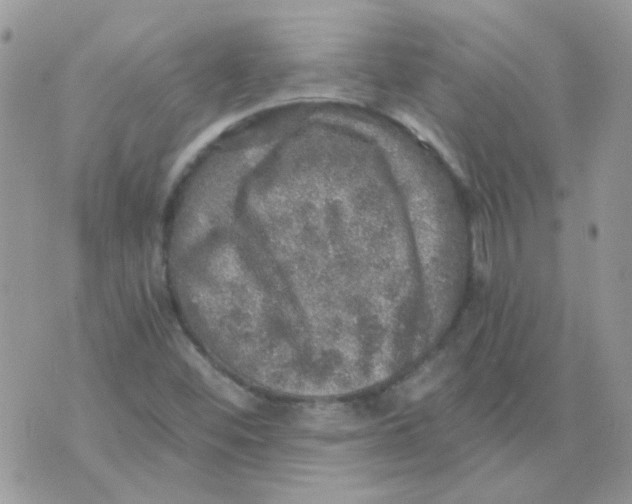 X0000073751452200608311923