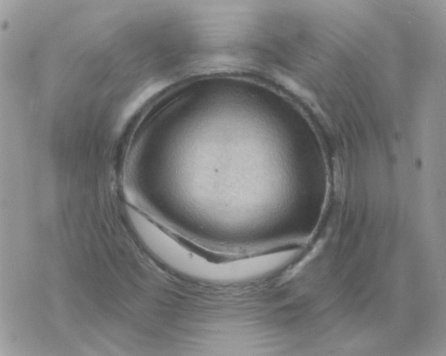 X0000073751453200608311923