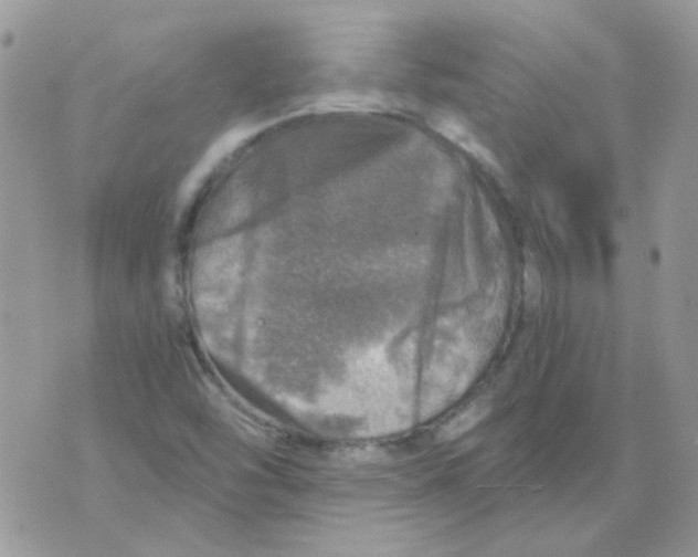 X0000073751454200608311923