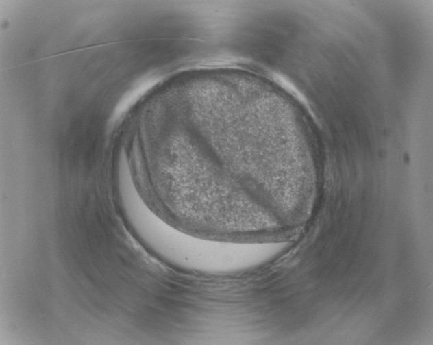 X0000073751456200608311923