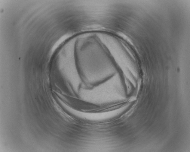 X0000073751458200608311923