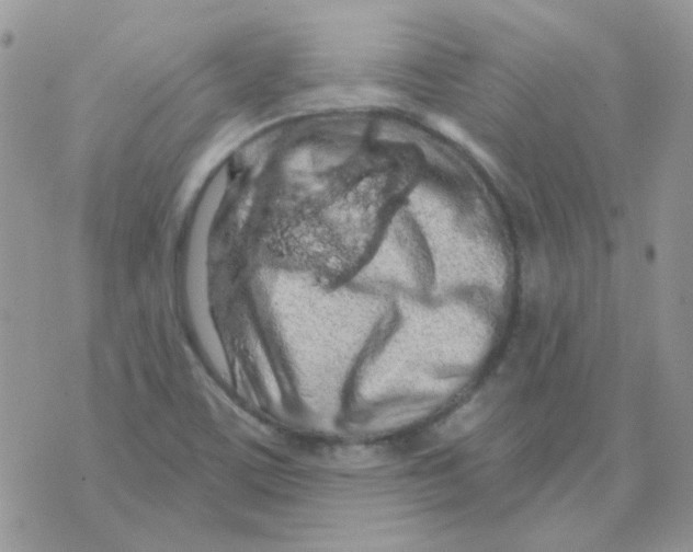 X0000073751459200608311923