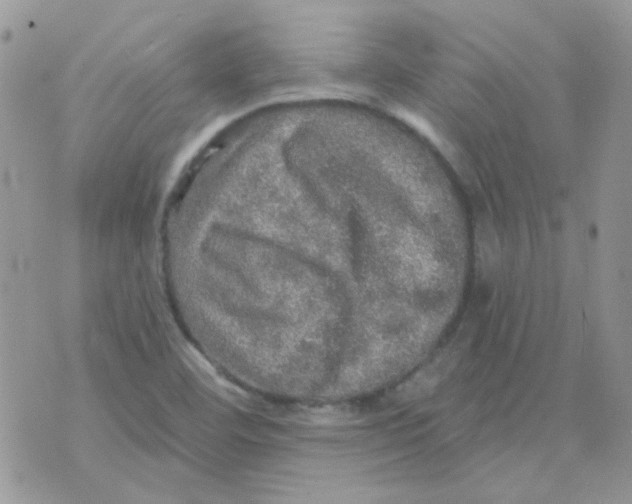 X0000073751460200608311923