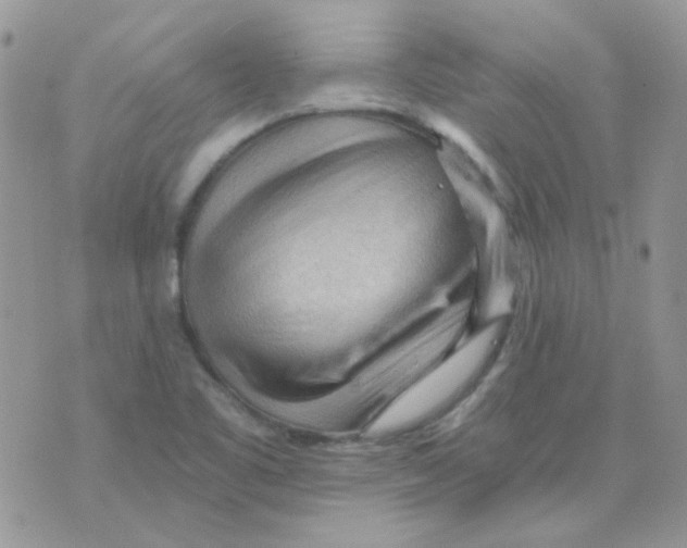 X0000073751461200608311923