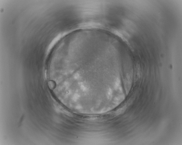 X0000073751462200608311923