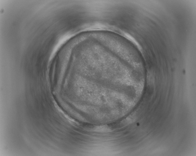 X0000073751464200608311923