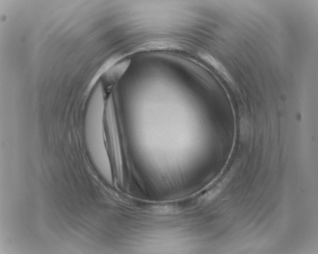 X0000073751465200608311923