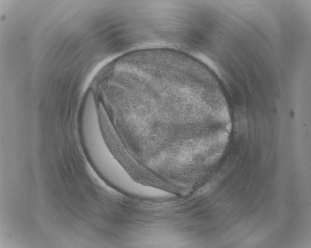 X0000073751468200608311923