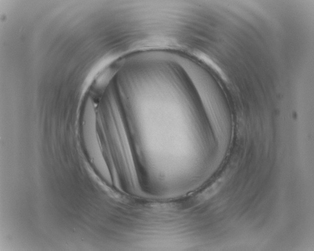 X0000073751469200608311923