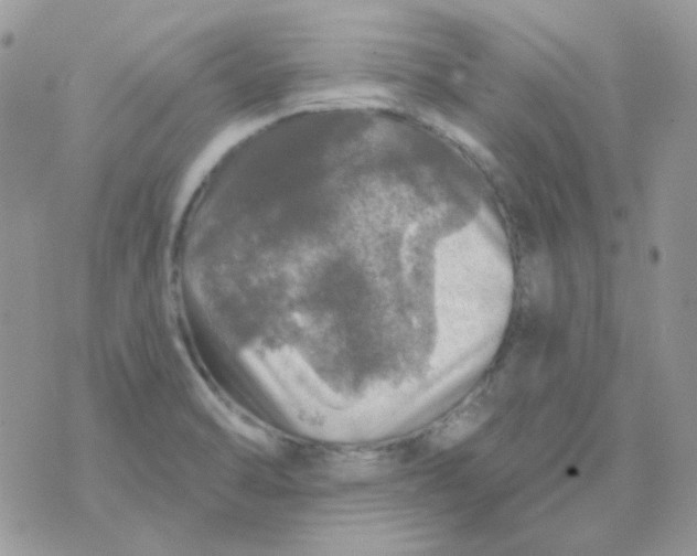 X0000073751470200608311923