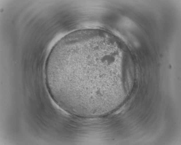 X0000073751471200608311923