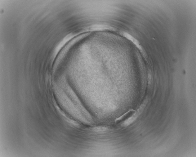 X0000073751473200608311923