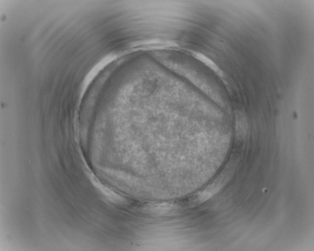 X0000073751474200608311923