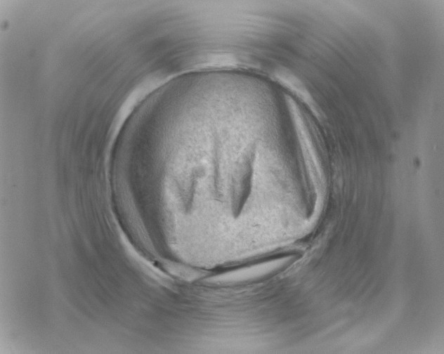 X0000073751475200608311923