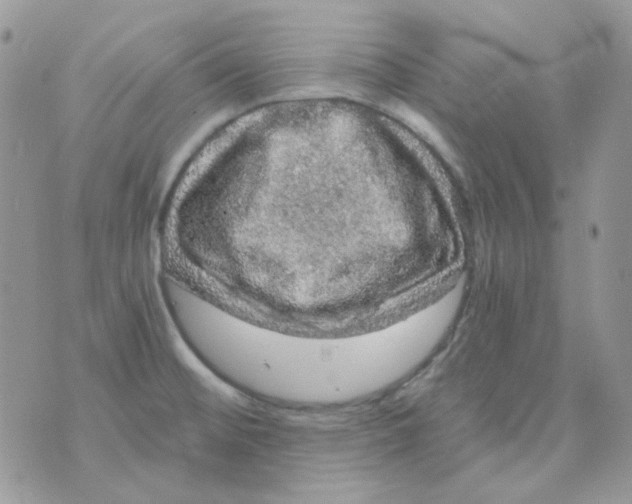 X0000073751476200608311923