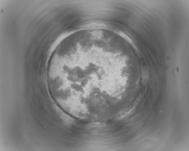 X0000073751478200608311923