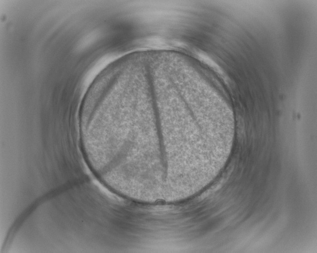 X0000073751479200608311923