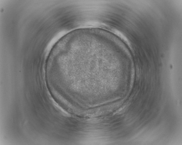 X0000073751480200608311923