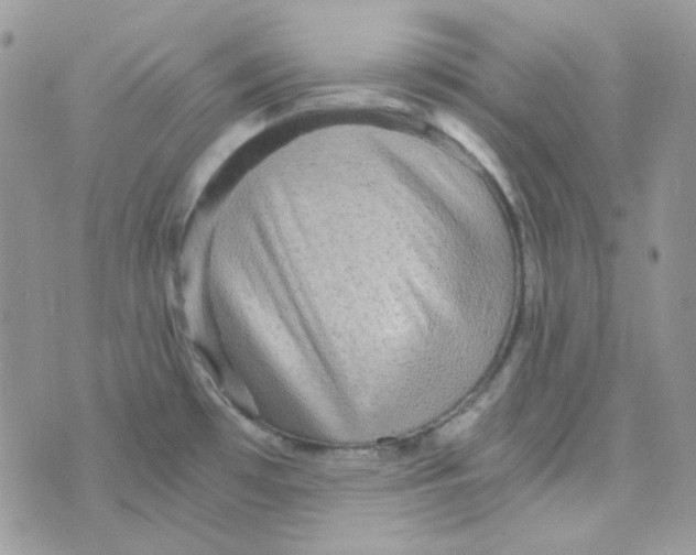 X0000073751481200608311923