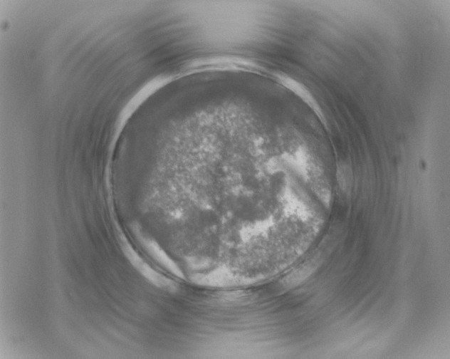 X0000073751482200608311923