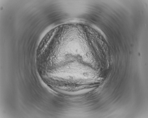 X0000073751483200608311923