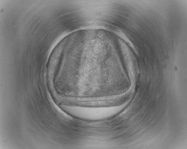 X0000073751484200608311923