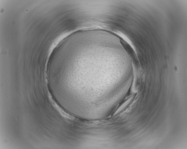 X0000073751485200608311923