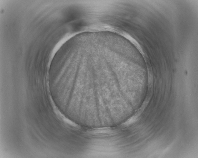 X0000073751486200608311923