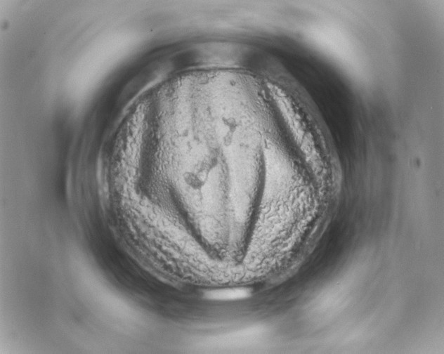 X0000073751487200608311923