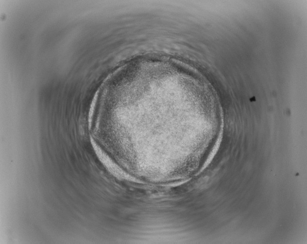 X0000073751490200608311922