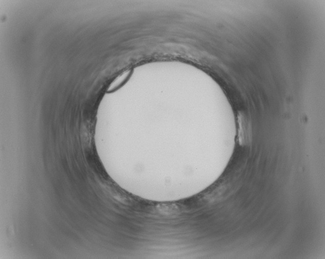 X0000073751491200608311922