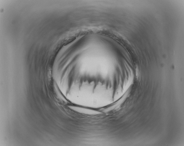 X0000073751492200608311922