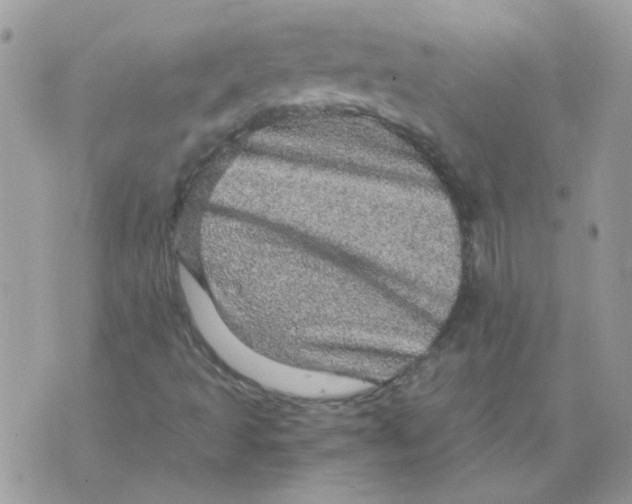 X0000073751493200608311922