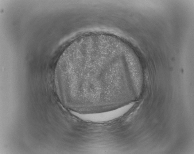 X0000073751494200608311922