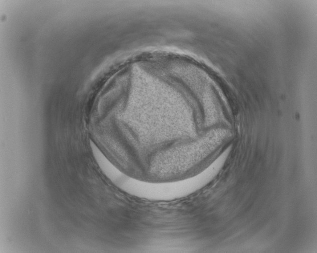 X0000073751495200608311922