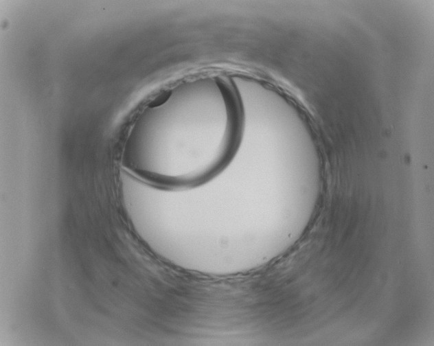 X0000073751496200608311922