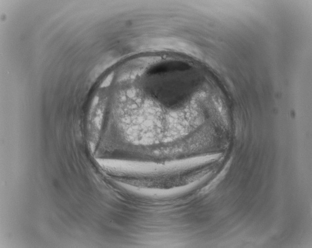 X0000073751497200608311922