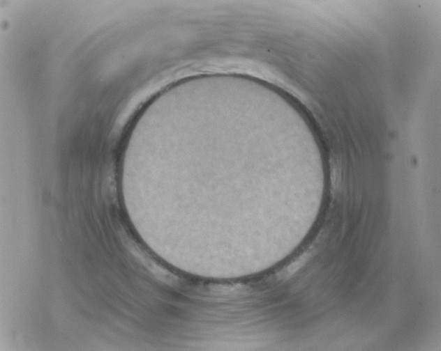 X0000073751498200608311922