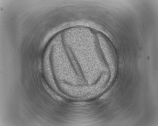 X0000073751499200608311922