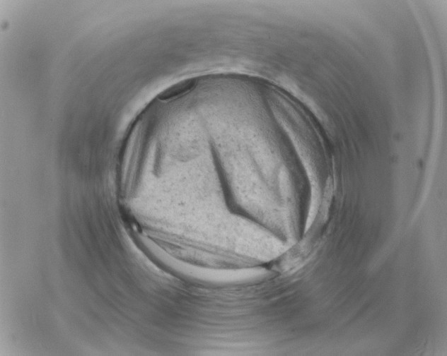 X0000073751500200608311922